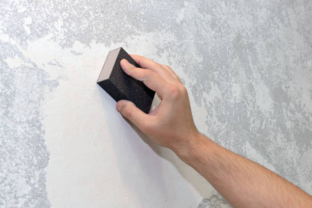 Best Mold Damage Restoration  in Jesup, GA