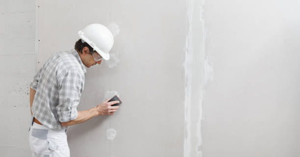 Best Environmental Consulting for Mold Prevention  in Jesup, GA