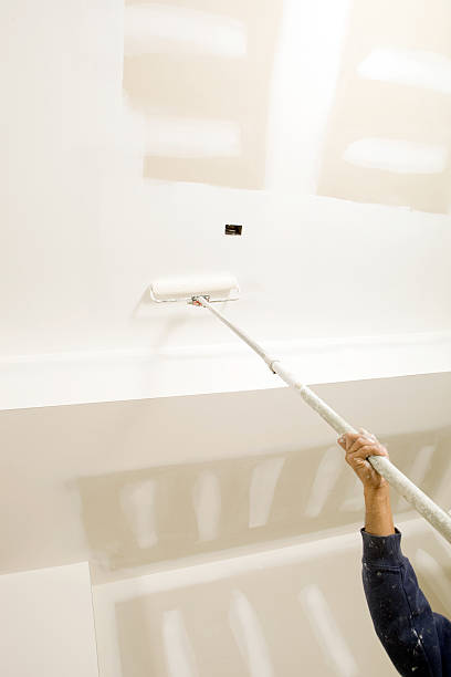 Best Emergency Mold Remediation  in Jesup, GA